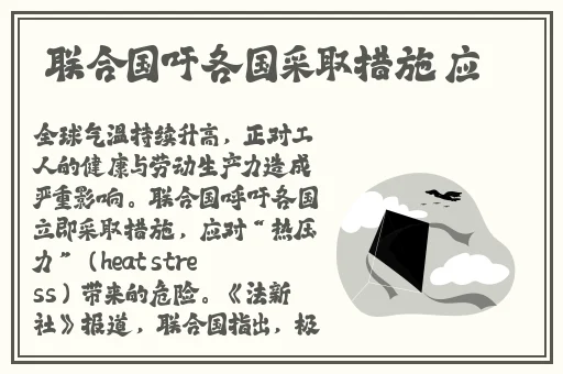 猫咪成人最新地域网名怎么取